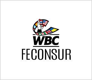Logos-Página-Web-323x280-2